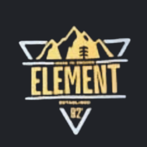 Camiseta Element Mountain 92 – Preta - Imagem 3